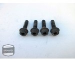 Suzuki GSX600F remschijfbouten / remschijf bouten